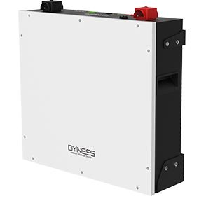 Dyness DL5.0C Battery/ 51.2V 100Ah/5.12KWh (10-Year Warranty)